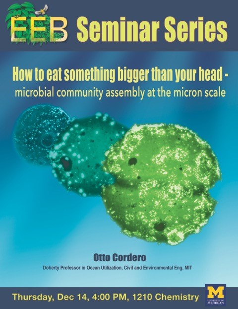 Cordero Seminar Flyer